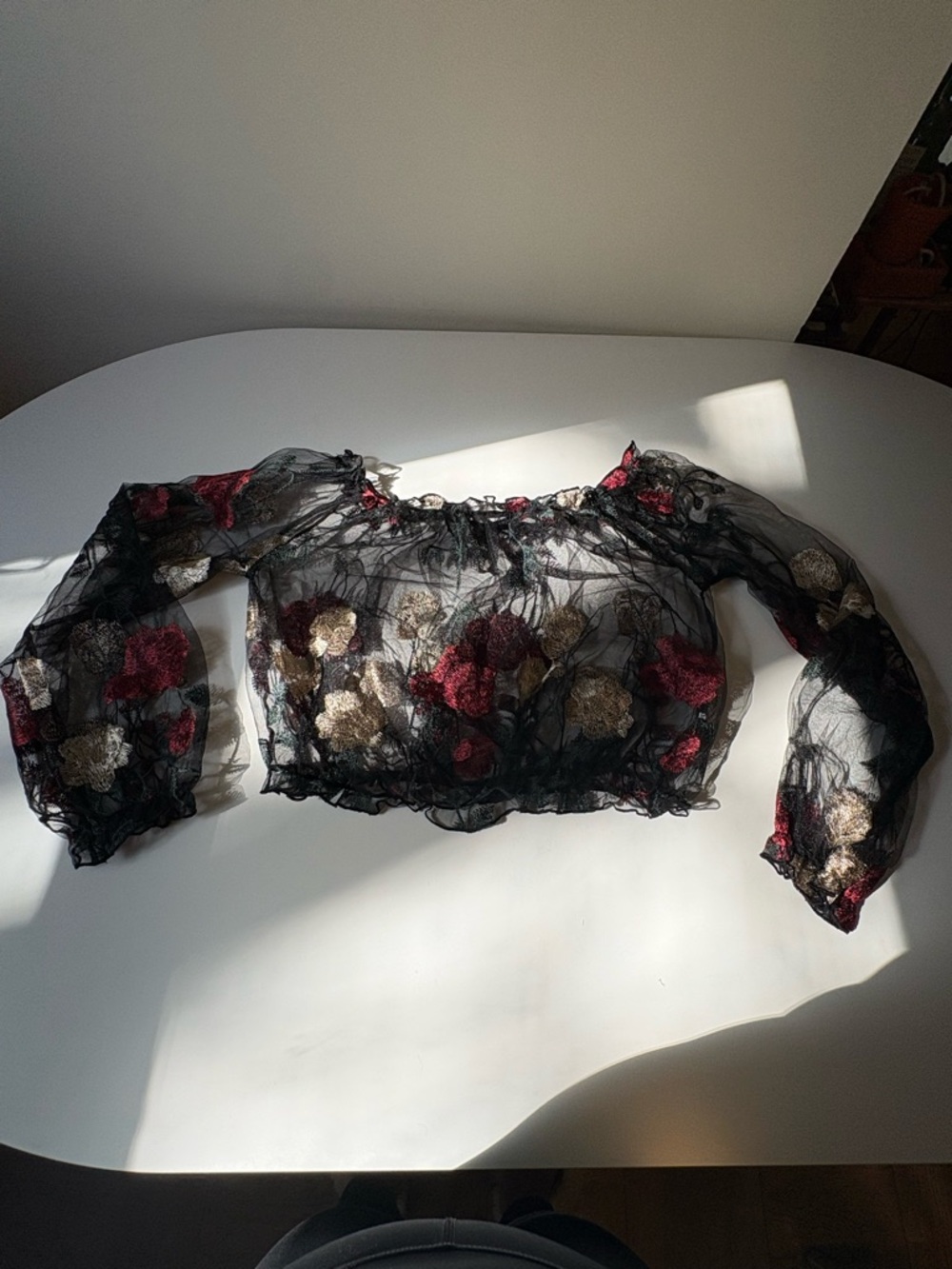 Sheer Dark Feminine Black Floral Embroidered Off-Shoulder Crop Top
